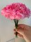 Box of 100: Pink Carnation Picks, 5" Long, 3.5" Wide, Silk Flowers, Floral Picks, Floral Home by Artificial Flowers